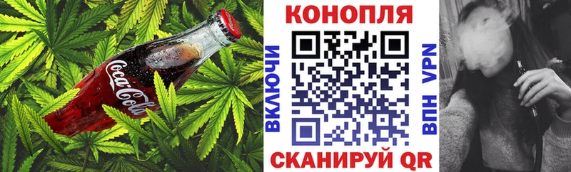 Купить где  Раменское  Cannafood конопля 